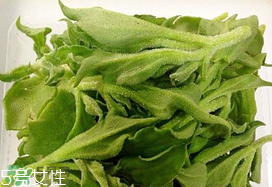 ?冰菜多少錢一斤？? 今年冰菜多少錢一斤？