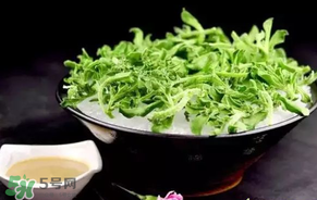 冰菜什么人不適宜吃？冰菜什么體質(zhì)不能吃？