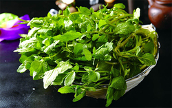 西洋菜怎么摘洗？西洋菜怎么洗才干凈