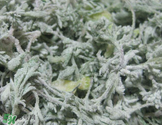 白蒿不能和什么一起吃？白蒿不能與什么同食？