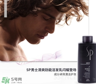 sp威娜是什么牌子？威娜是哪個國家什么檔次？