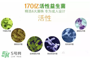 益生菌哪個(gè)牌子好？哪個(gè)牌子的益生菌好？