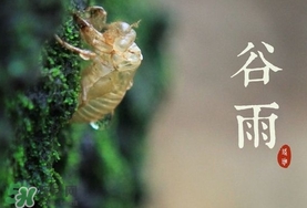 谷雨養(yǎng)生吃什么？谷雨養(yǎng)生常識