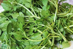 西洋菜是什么菜？西洋菜是什么樣的