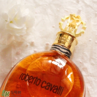 roberto cavalli是什么牌子？羅伯托卡沃利是幾線什么檔次？