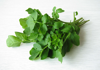 西洋菜是什么菜？西洋菜是什么樣的