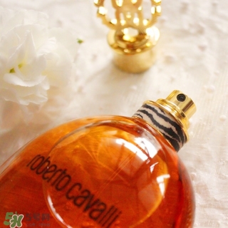 roberto cavalli是什么牌子？羅伯托卡沃利是幾線什么檔次？