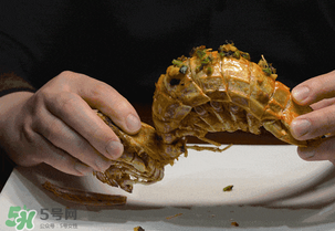 皮皮蝦中間紅色的是什么？皮皮蝦里面紅色是是什么？