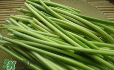 蒜苔怎么保鮮？蒜苔如何保鮮