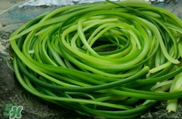 蒜苔用焯水嗎？蒜苔要不要焯水