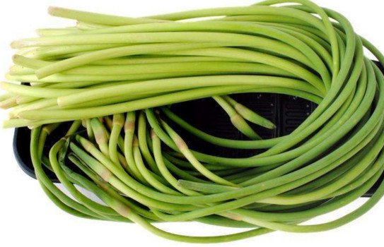 蒜苔是怎么長出來的？蒜苔是大蒜長出來的嗎