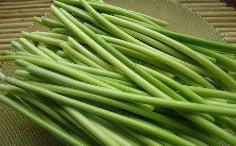 蒜苔如何采摘？蒜苔的采摘技術