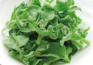 冰菜為什么會酸？冰菜為什么是咸的？