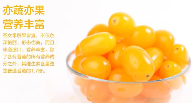 圣女果能減肥嗎？圣女果可以減肥嗎