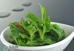 冰草可以放冰箱嗎？冰草能用冰塊保存嗎？