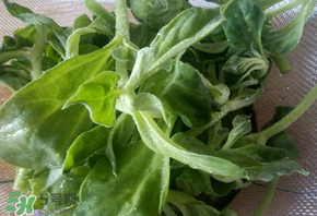 冰草為什么咸？冰草怎吃不咸？