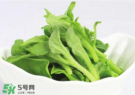 冰草多少錢一斤？非洲冰草多少錢一斤？