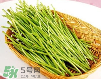 蘆蒿與茼蒿有什么區(qū)別？蘆蒿和茼蒿的區(qū)別