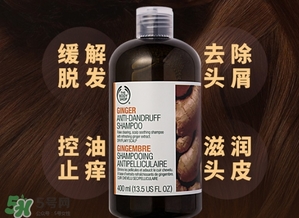 美體小鋪生姜洗發(fā)水怎么樣？the body shop生姜洗發(fā)水使用心得
