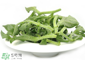 ?冰草為什么會酸？冰草為什么是酸的？