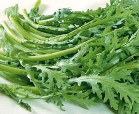 蘆蒿要焯水嗎？蘆蒿要不要焯水