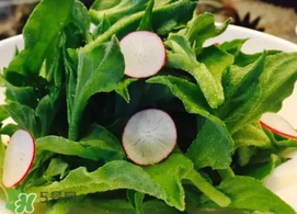 冰草可以生吃嗎？冰草生吃什么味道？