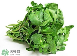 哺乳期能吃西洋菜嗎？哺乳期可以吃西洋菜嗎