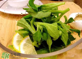 冰草用什么醬？冰草用什么醬好吃？