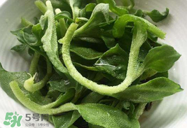 冰菜為什么會酸？冰菜為什么是咸的？