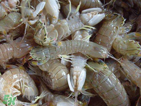 蝦爬子死了能吃嗎？蝦爬子死能放多久？