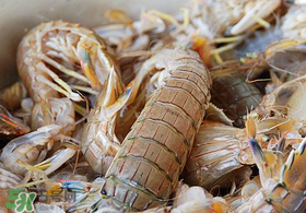 蝦爬子死了能吃嗎？蝦爬子死能放多久？