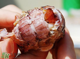 蝦爬子什么季節(jié)最肥？蝦爬子幾月份最肥？