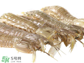 蝦爬子什么季節(jié)最肥？蝦爬子幾月份最肥？