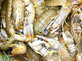 蝦爬子什么季節(jié)最肥？蝦爬子幾月份最肥？