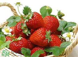 蝦爬子和草莓能一起吃嗎？吃完蝦爬子能吃草莓嗎？