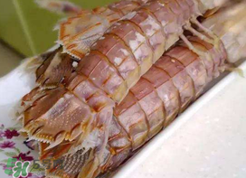 蝦爬子能冷凍嗎？蝦爬子可以冷藏嗎？