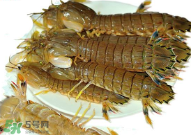 蝦爬子能冷凍嗎？蝦爬子可以冷藏嗎？