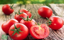 西紅柿是生吃好還是熟吃好？西紅柿吃生的好還是熟的好