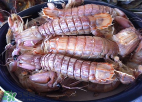 皮皮蝦用涼水還是熱水？煮皮皮蝦涼水還是開水？