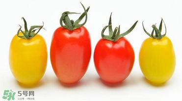 圣女果是水果還是蔬菜？圣女果屬于蔬菜還是水果