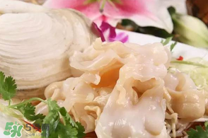 2017象拔蚌多少錢一斤？象拔蚌多少錢一斤2017？