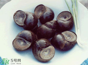 田螺不能和什么一起吃？田螺和什么不能一起吃？