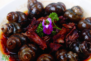 田螺不能和什么一起吃？田螺和什么不能一起吃？