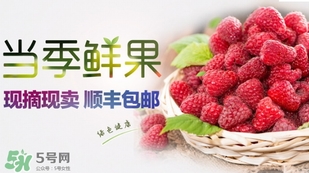 刺泡是覆盆子嗎？刺泡和覆盆子的區(qū)別