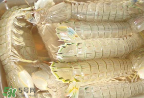 蝦爬子綠色怎么回事？蝦爬子變黑還能吃嗎？