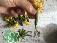 黃瓜花能吃嗎？黃瓜花怎么吃