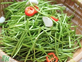 泥蒿怎么做好吃？泥蒿做法