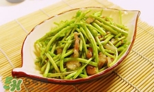 蘆蒿怎么摘？蘆蒿怎么擇