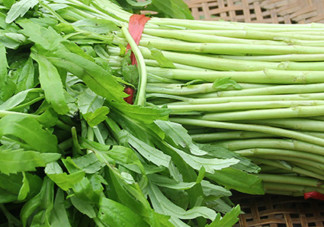 泥蒿的葉子可以吃嗎？泥蒿的葉子能不能吃