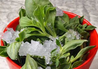 孕婦可以吃冰草嗎？冰草對(duì)孕婦有什么好處？